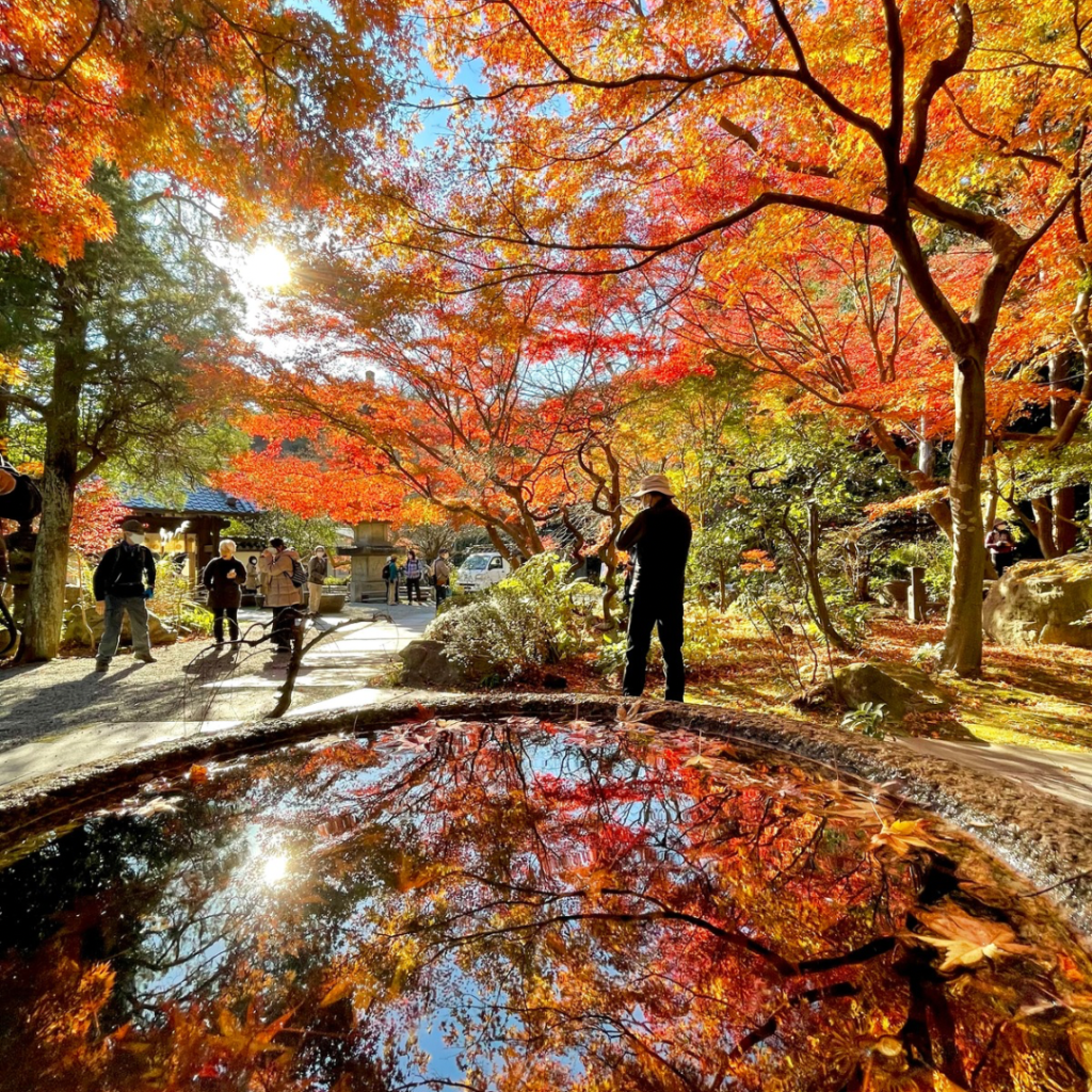 5 Best Autumn Foliage Spots in Kamakura | 【公式】古民家の宿鎌倉楽庵